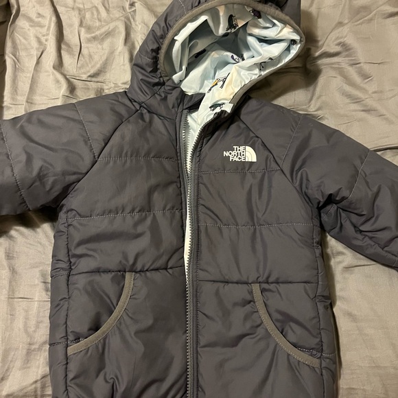 The North Face Other - EUC North Face Ski Jacket